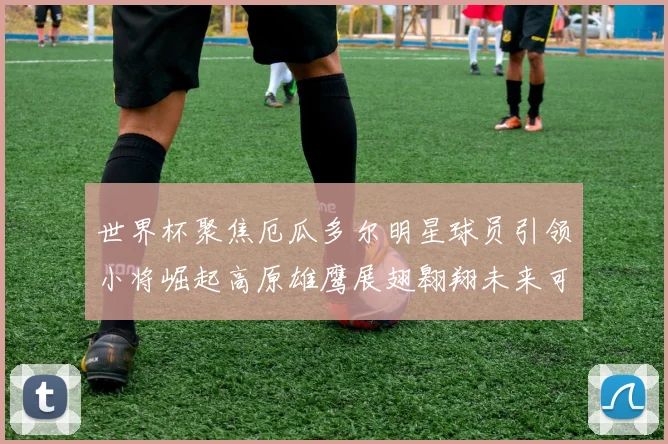 世界杯聚焦厄瓜多尔明星球员引领小将崛起高原雄鹰展翅翱翔未来可期